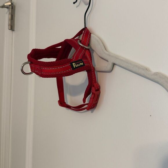 Red Dog Harness - Picture 1 of 3